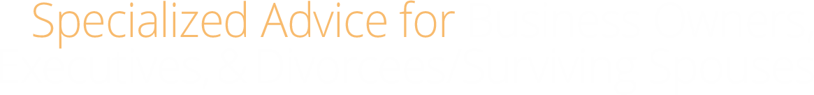 Specialized advice for business owners